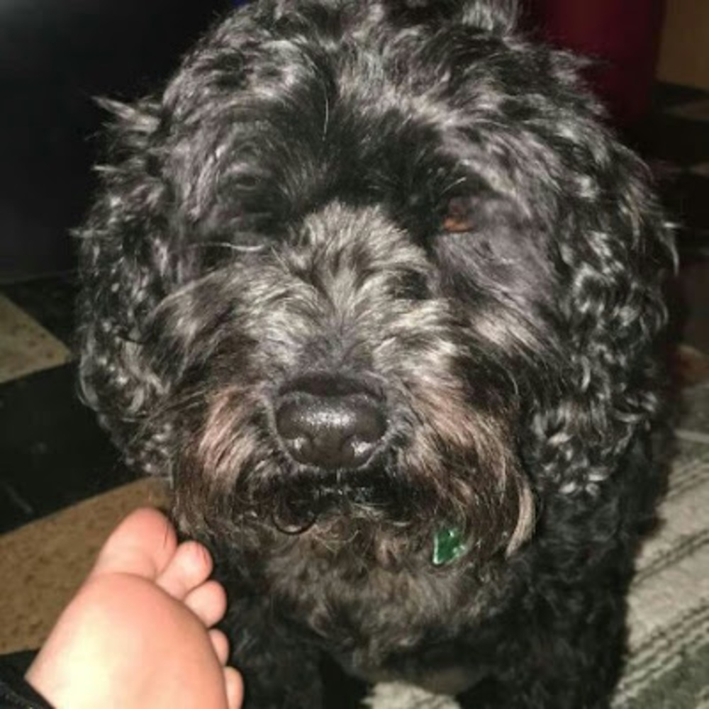 Meet your Posher, Sexy